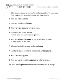 SIMPLE SCIENCE Ant Fun Facts
