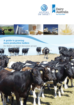 A guide to growing more productive heifers