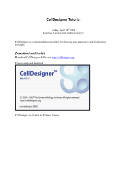 CellDesigner Tutorial