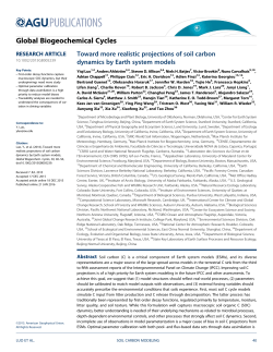 Toward more realistic projections of soil carbon dynamics by Earth