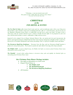 christmas - Fox Hotel and Suites
