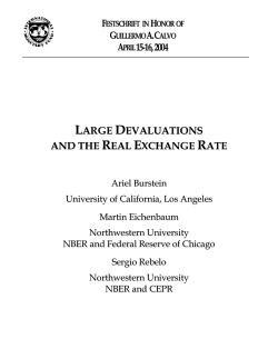 Large Devaluations and the Real Exchange Rate