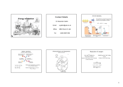 01_Oxidative phosphorylation