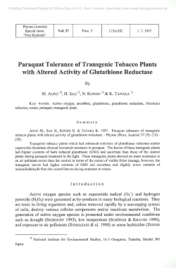 Paraquat Tolerance of Transgenic Tobacco Plants with