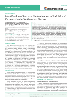 Identification of Bacterial Contamination in Fuel Ethanol