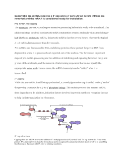 Pre-mRNA Processing - Ms. Poole`s Biology