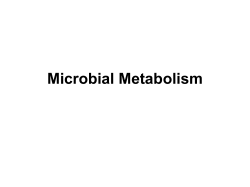 Microbial Metabolism Energy
