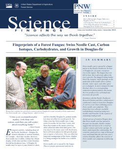 Fingerprints of a Forest Fungus: Swiss Needle Cast, Carbon