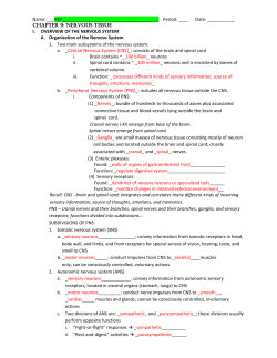 (4) Sensory receptors