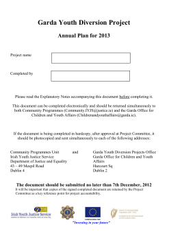 2013 Annual Plan Template - Irish Youth Justice Service