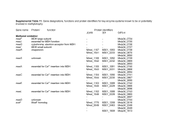 Supplemental Table 11. Gene designations, functions and protein