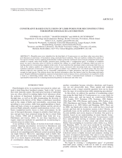 article constraint-based exclusion of limb poses for reconstructing