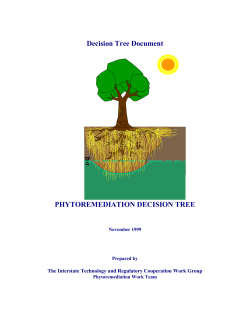 Phytoremediation Decision Tree - CLU-IN