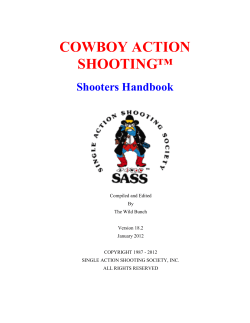 SSAAWA Single Action Rules