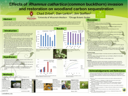 Effects of Rhamnus cathartica (Common
