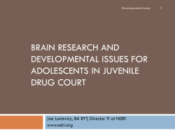 Working with the Developmental Needs of Young Adults in