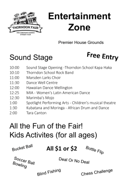 2016 Entertainment Zone Programme