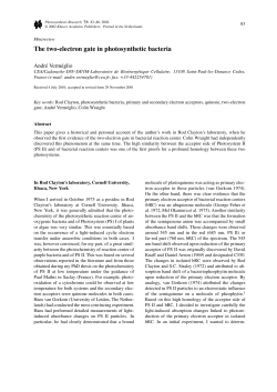 The two-electron gate in photosynthetic bacteria