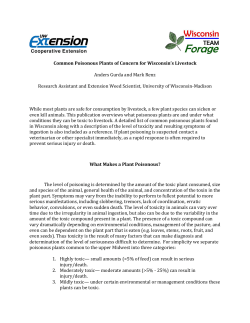 Common Poisonous Plants of Concern for Wisconsin`s Livestock