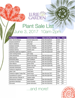 Plant Sale List