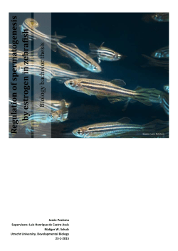 Biology bachelor thesis - Utrecht University Repository