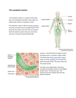The Lymphatic System