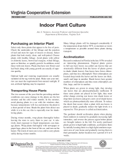 Indoor Plant Culture