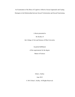 An Examination of the Roles of Cognitive-Affective