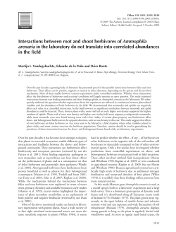 Interactions between root and shoot herbivores of Ammophila