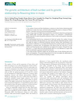 The genetic architecture of leaf number and its genetic relationship