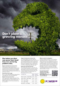 Don`t plant a growing menace