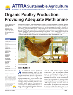 Organic Poultry Production: Providing Adequate Methionine