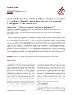 Combined effect of initial biomass density and nitrogen