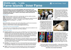 Inner Farne - National Trust