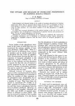 the uptake and release of inorganic phosphorus by daphnia magna