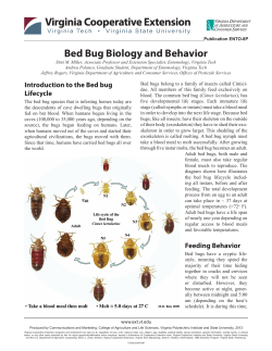 Bedbug Life Cycle - Bed Bugs Handbook