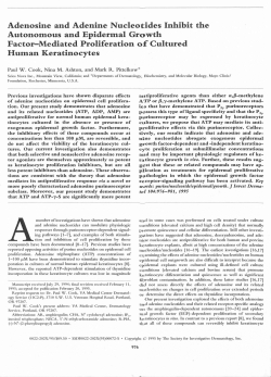 Adenosine and Adenine Nucleotides Inhibit the Autonomous and