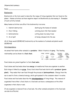 Shipwrecked summary sheets