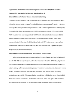 supplementary methods - Molecular Cancer Therapeutics