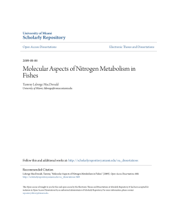Molecular Aspects of Nitrogen Metabolism in Fishes