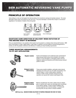 bsm automatic reversing vane pumps