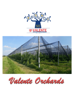 Valente - Orchards Installation Steps