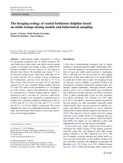 The foraging ecology of coastal bottlenose dolphins based