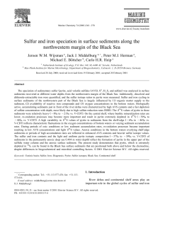 Sulfur and iron speciation in surface sediments