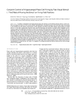 Conjoint Control of Hippocampal Place Cell Firing by Two Visual