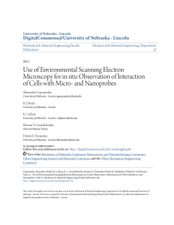 Use of Environmental Scanning Electron Microscopy for in situ