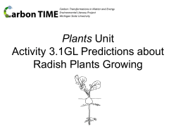 Plants Unit Activity 2.1 Predictions about Radish Plants