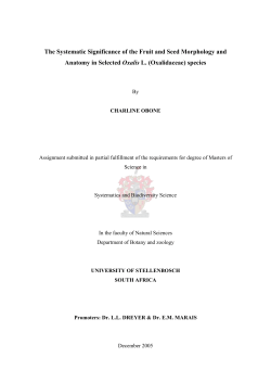 The Systematic Significance of the Fruit and Seed Morphology and