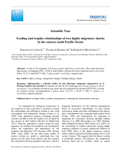 Feeding and diet overlap of two highly migratory sharks