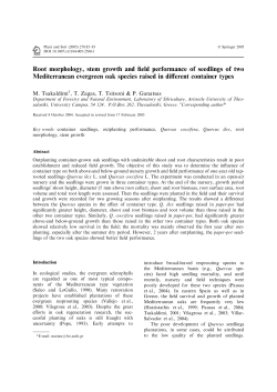 Root morphology, stem growth and field performance of seedlings of